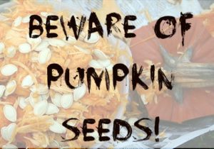 pumpkin_seeds_ Daniel_Cordova_Plumbing